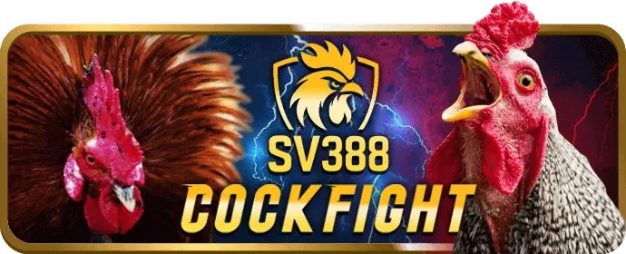 Liên hệ f168 game về Chính sách Cookie